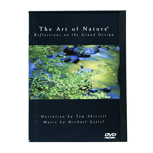 The art of nature: Reflections on the Grand Design