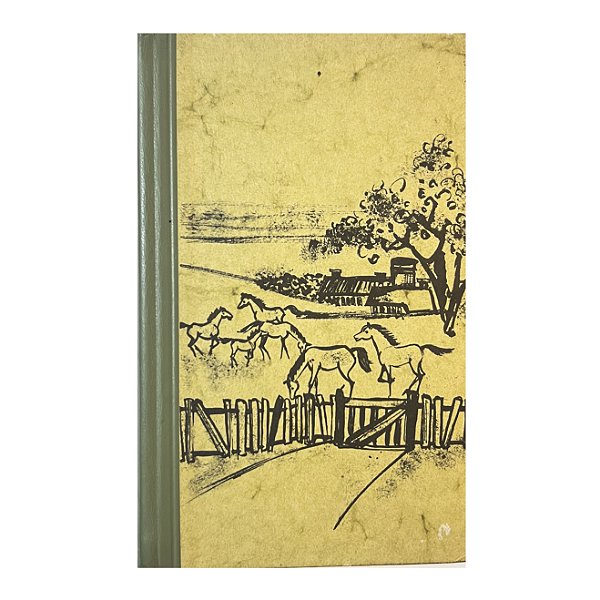 Ein Sommer Mit Unseren Pferden - Mary O'Hara