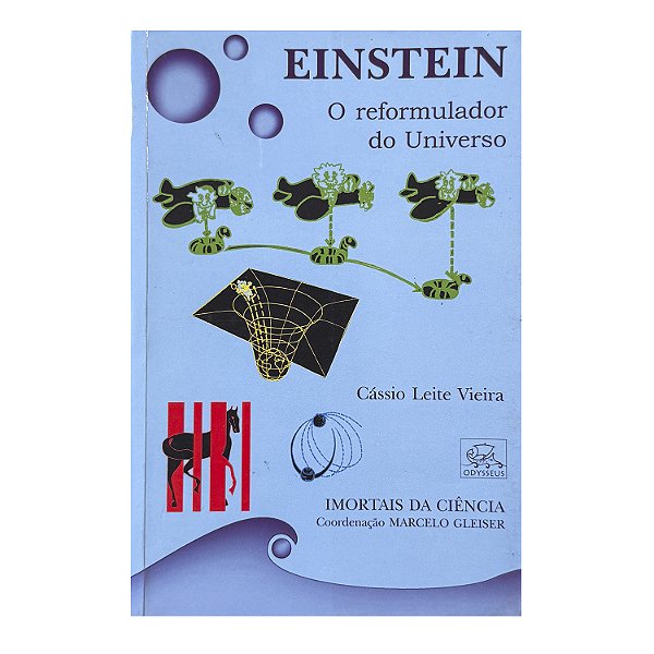 Einstein - Cássio Leite Vieira