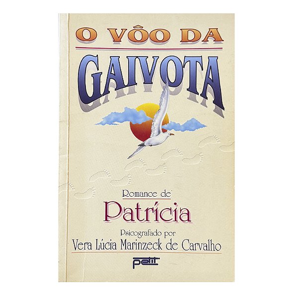 O Vôo Da Gaivota - Vera Lúcia Marinzeck De Carvalho