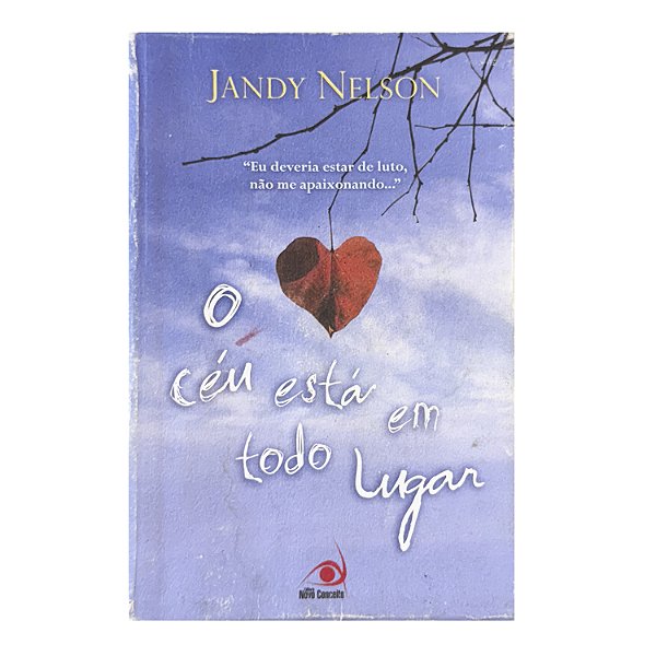 O Céu Está Em Todo Lugar - Jandy Nelson