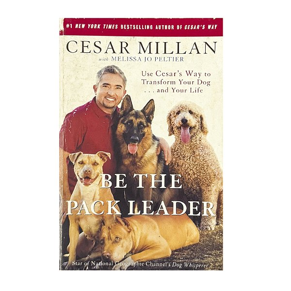 Be The Pack Leader - Cesar Millan