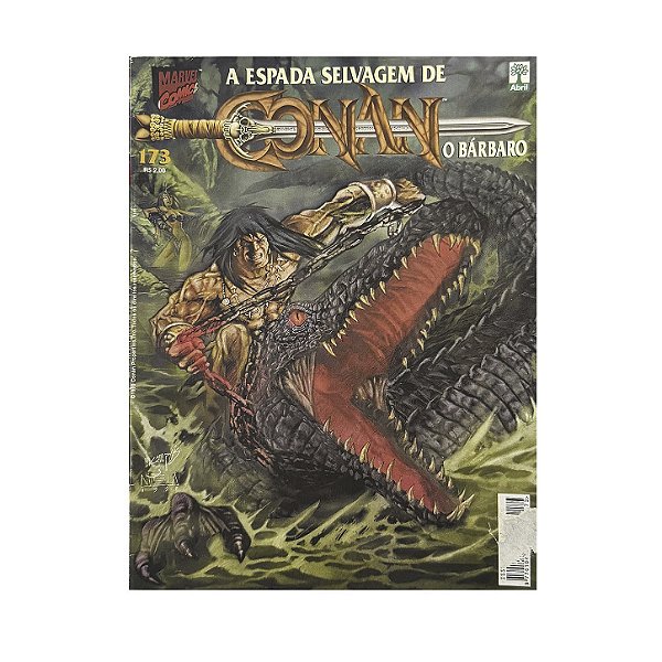 A Espada Selvagem De Conan O Bárbaro - Nº 173