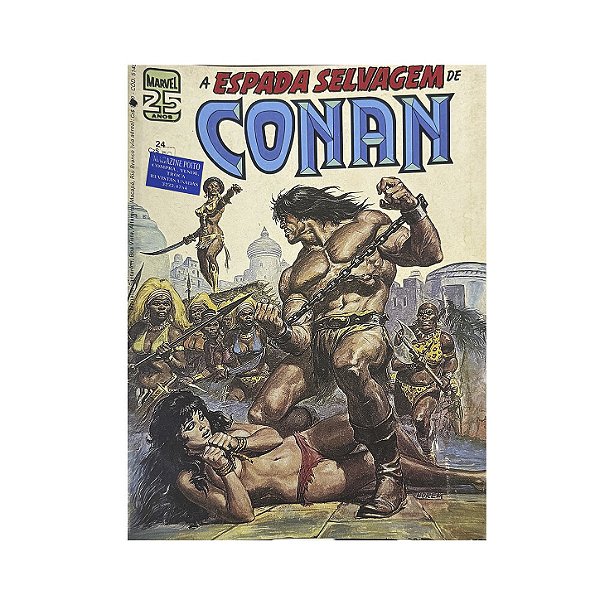 A Espada Selvagem De Conan O Bárbaro - Nº 24