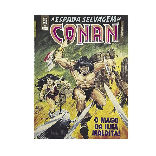 A Espada Selvagem De Conan O Bárbaro - Nº 43