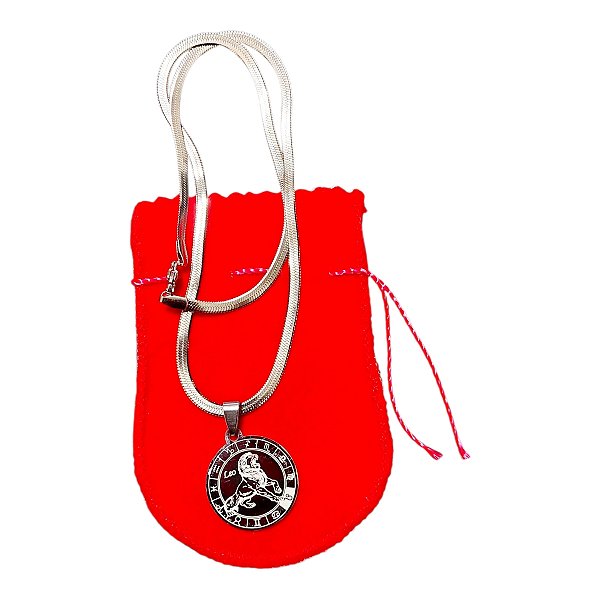 COLAR corrente AÇO INOX Snake 45 cm pingente signo leão