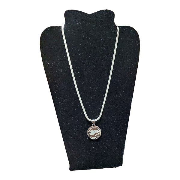 COLAR corrente AÇO INOX Snake 45 cm pingente signo touro