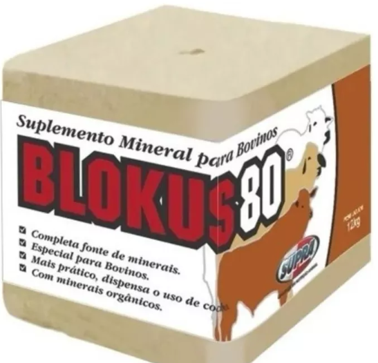 Blokus 80 Bk 12kg