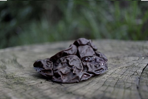 Rim Bovino Lecker - 5un