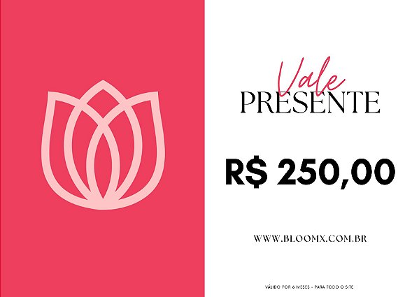 Vale Presente R$ 250,00 - Frete grátis!