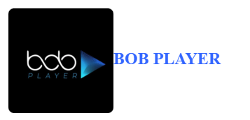 BOB PLAY TESTE