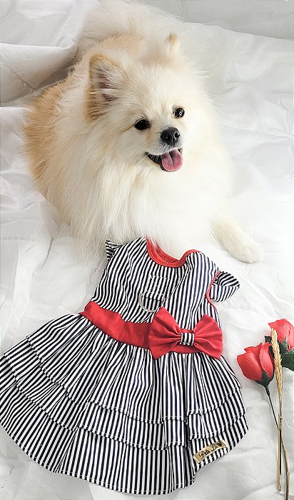 ROUPA PET: VESTIDO LADY
