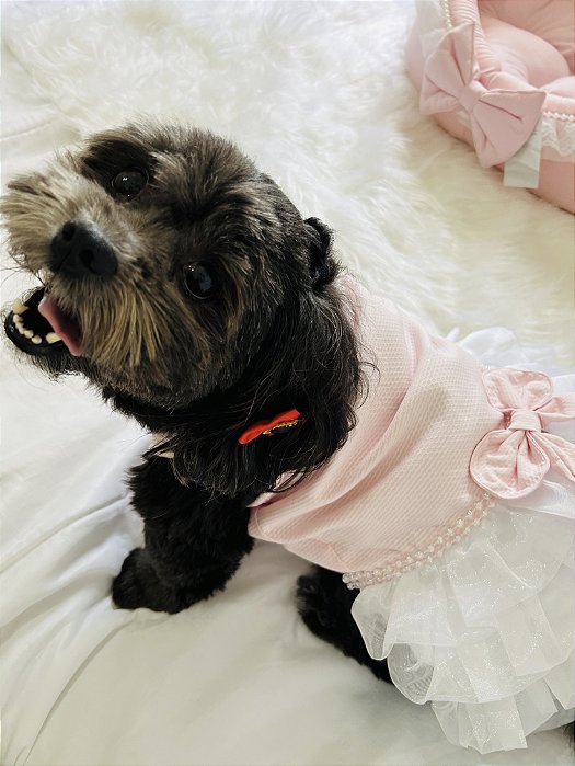 Vestido Pet: Vestido Chile Candy Rosa Oh My Dog