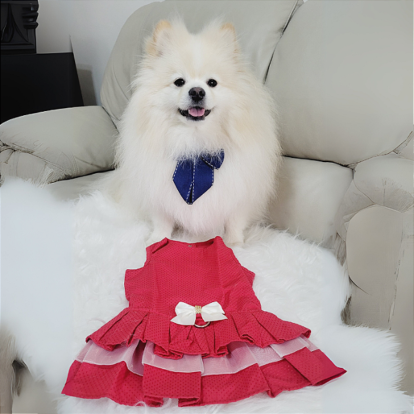 Vestido Pet: Peitoral Luxo Vermelho OMD - Oh My Dog