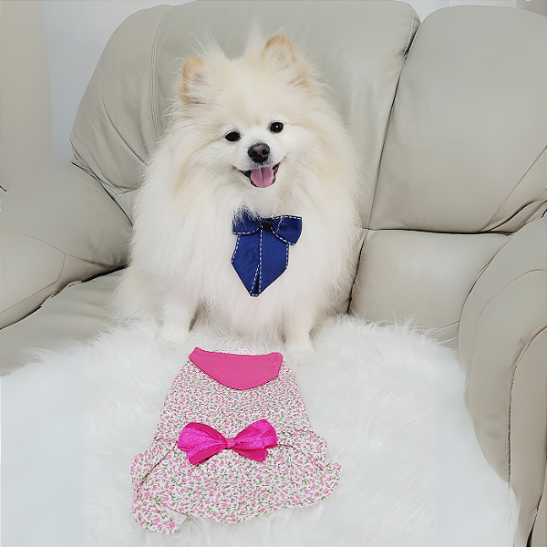 Vestido Pet Verão 190 Branco Com Florzinha Rosa E Laço Pink