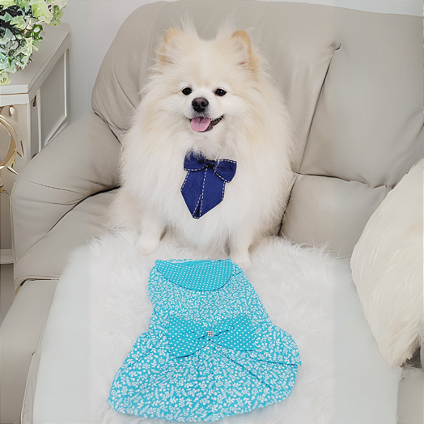 Vestido Pet Verão azul com Florzinha branca e laço