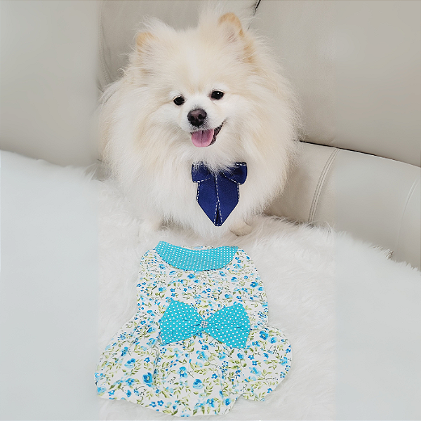 Vestido Pet: Vestido Verão Branco Com Flor Azul