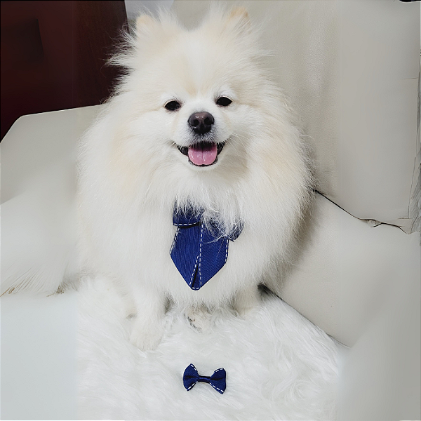 Laço com elástico Azul Marinho para penteados pet