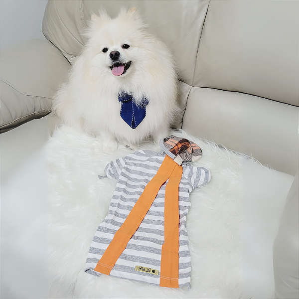 Roupa Pet: Cachorrinho do 8