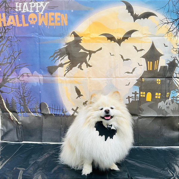 Bandana de Morcego para Pet – Fantasia de Halloween Divertida e Confortável