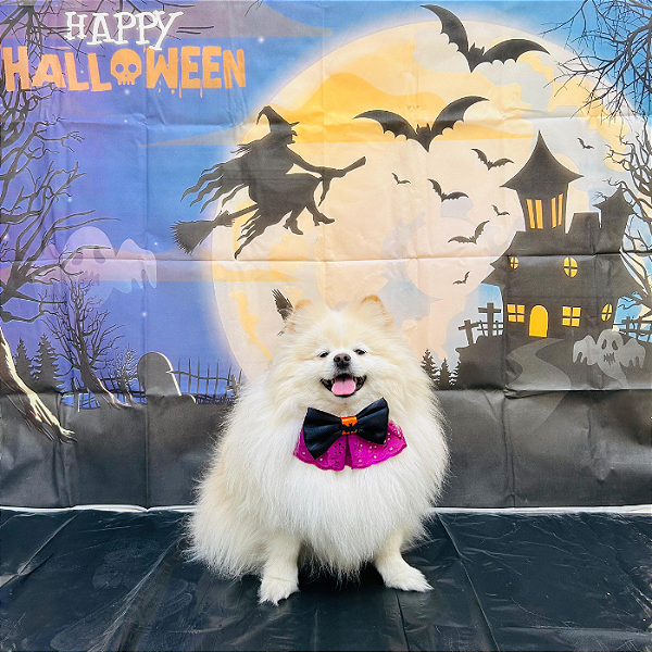 Bandana com Laço de Morcego para Pet – Estilo e Diversão para o Halloween