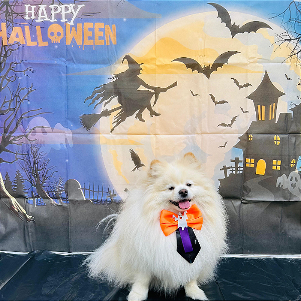 Gravata Fantasma para Pet – O Toque Assustadoramente Fofo do Halloween