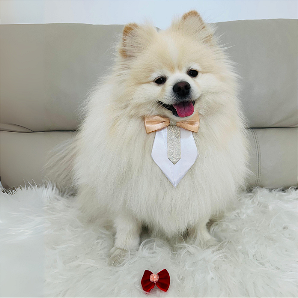 Laço Luxo Vermelho para Pet – Elegância e Charme para Todas as Ocasiões