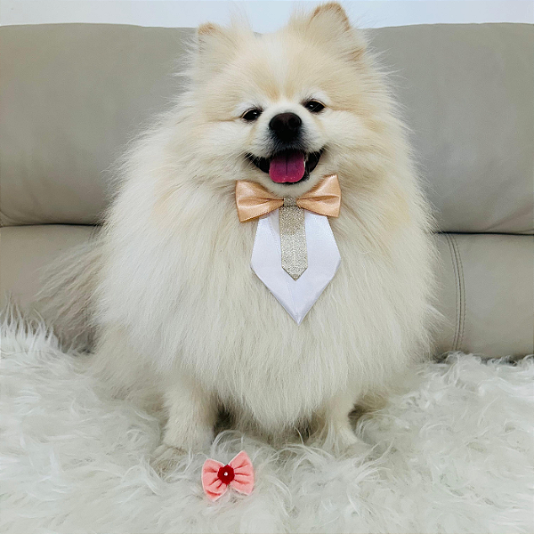 Laço Luxo Cor de Rosa para Pet – Delicadeza e Charme em Cada Detalhe