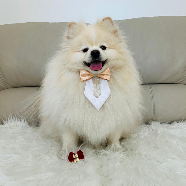 Laço Luxo Vermelho com Duas Flores para Pet – Sofisticação e Estilo para Seu Melhor Amigo