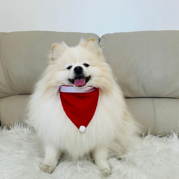 Bandana Papai Noel para Pet – O Toque Natalino que seu Pet Merece!