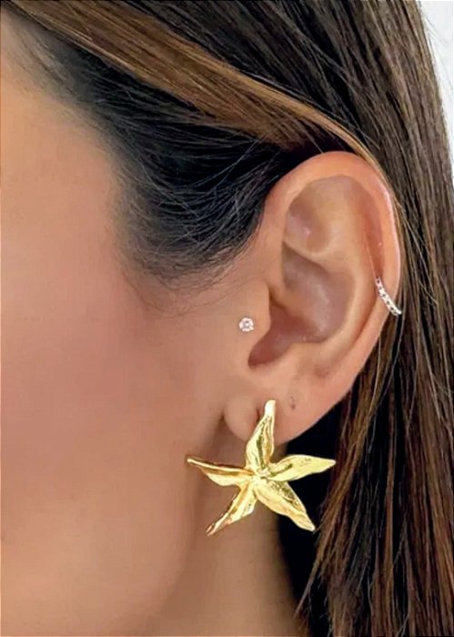 Brinco Estrela Folheado a Ouro