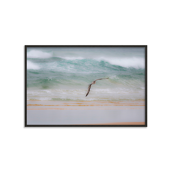 Voo do Pássaro (Florianópolis, SC)