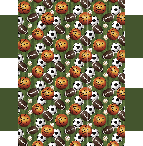 Estojo Box - Bolas Esportivas