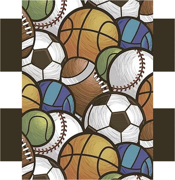 Estojo Box - Bolas Esportivas