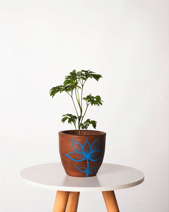 ÁRVORE DA FELICIDADE PEQUENA COM CACHEPOT DECORATIVO DE BARRO