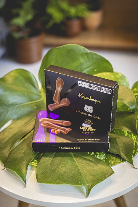 CHOCOLATE LINGUA DE GATO