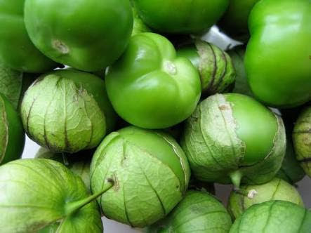 Tomatillo Mexicano