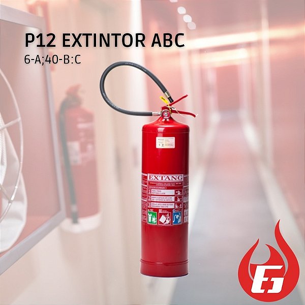 P12 | ABC