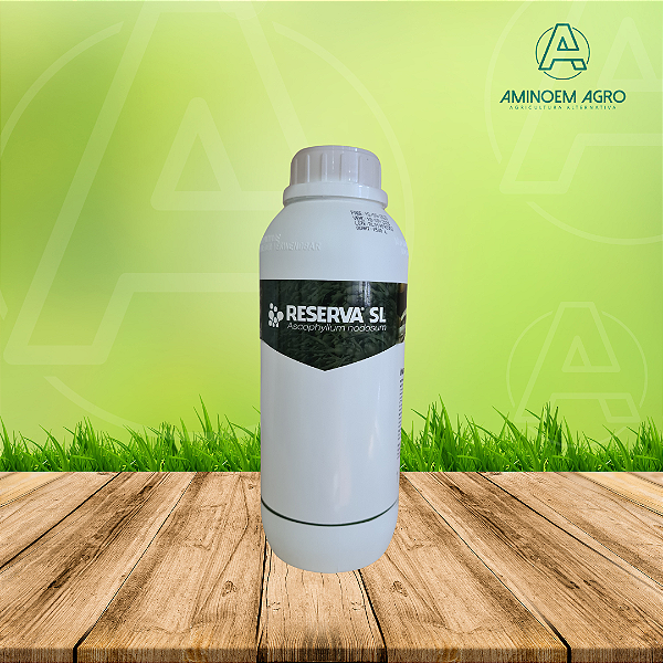 Reserva SL