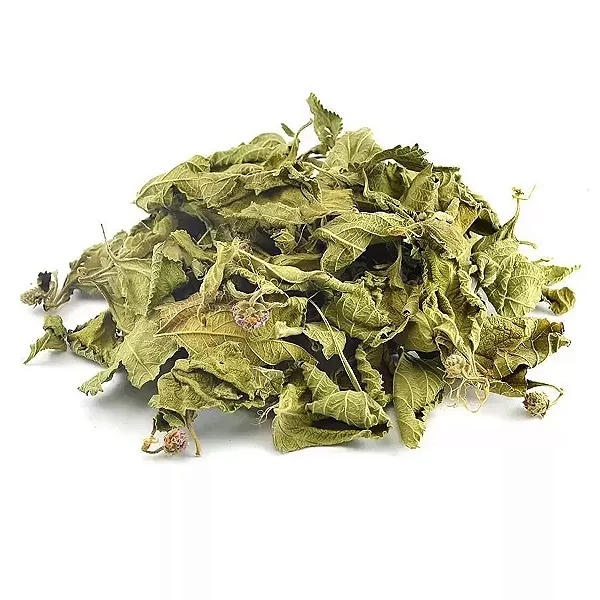 Chá Melissa Lippia Desidratada