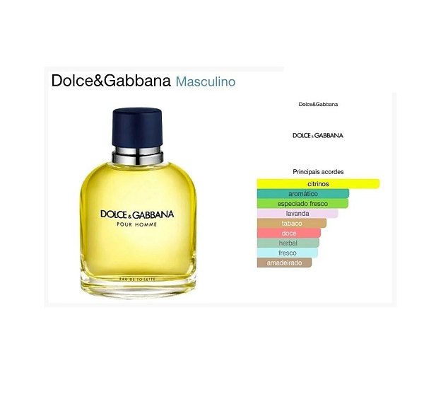 Dolce gabbana 2025 shop online