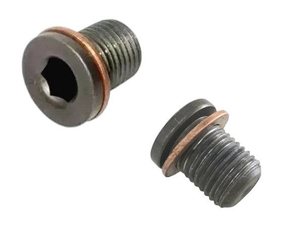 BUJAO DO CARTER COM ARRUELA GOL G3