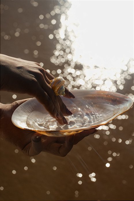 Anel de Concha - Bali Shell