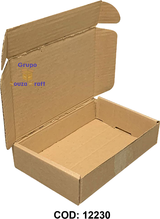 Caixa de Papelão SEDEX Corte Vinco 24x16x5 - Pacote com 100