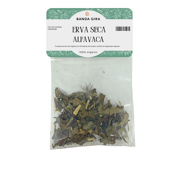 Erva Seca - Alfavaca