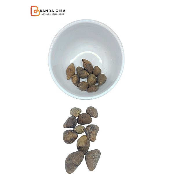 Fava Chapéu de Napoleão