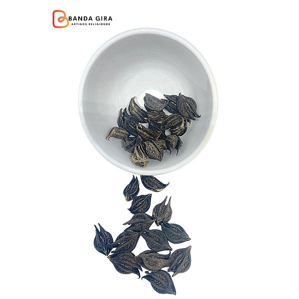 Fava Garra de Pomba Gira