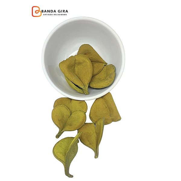 Fava Oxum - Amarela