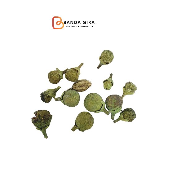 Fava da Prosperidade