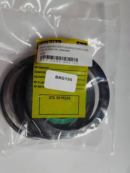JOGO REPARO ESTICADOR ESTEIRA CASE PAKITS BRG195, 00948966